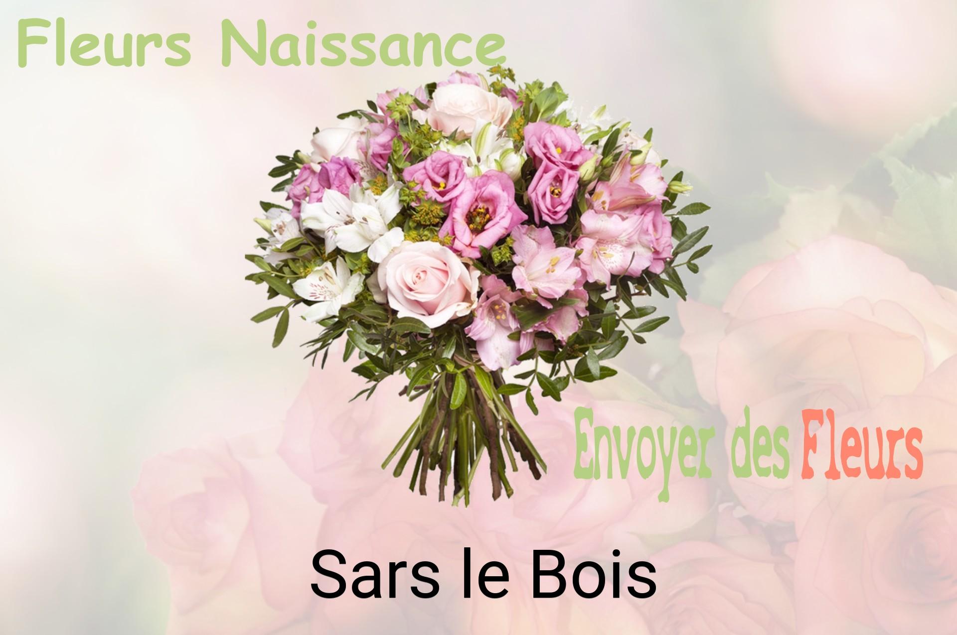 Bouquet de fleurs de naissance livré à Sars-le-Bois